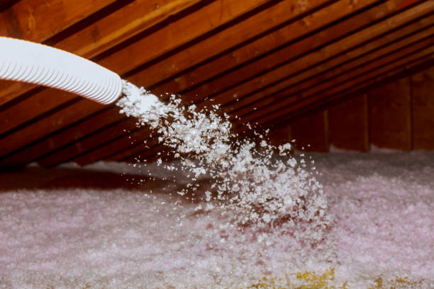 Best Affordable Insulation Services  in Atascocita, TX