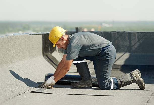 Best Spray Foam Insulation  in Atascocita, TX